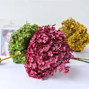 Nón khô lá lớn hoa cẩm tú cầu bảo quản cảm ứng thực sự hydrangeas cho trang trí đám cưới nhà