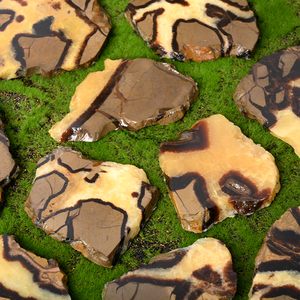 Hot Bán tự nhiên rùa mô hình slad đánh bóng septarian pha lê Slice cho trang trí nội thất - Product Image 3