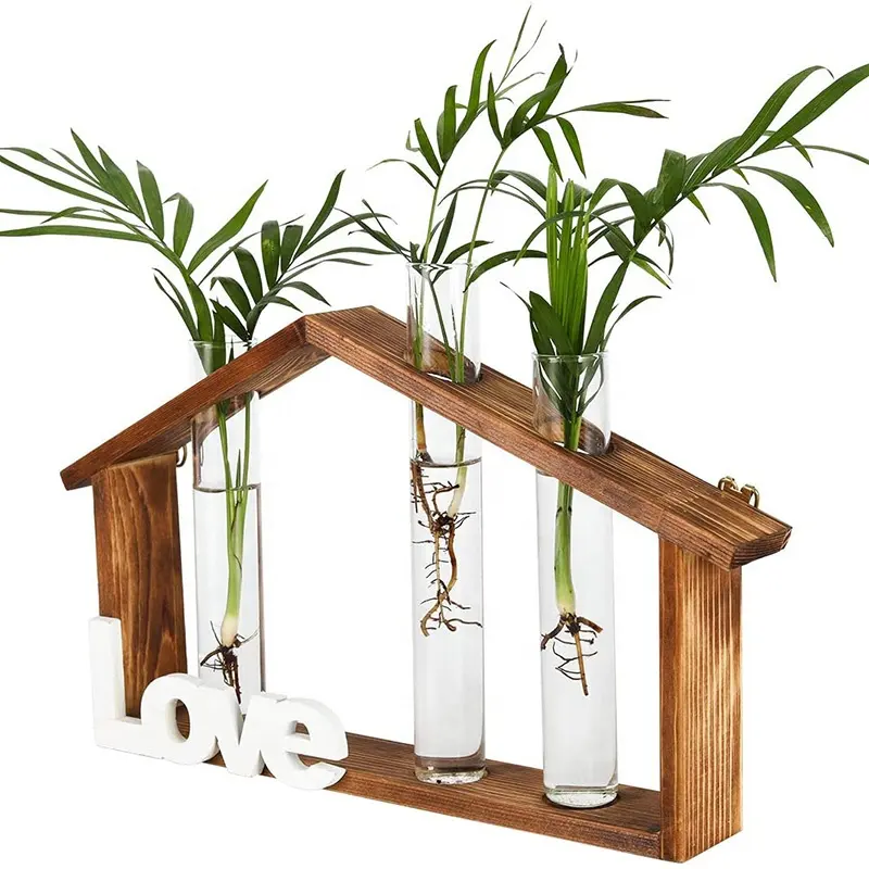 Vintage Wooden Stand Wall Mounted Air Terrarium with 3 Home Office Hydroponic Glass Vases