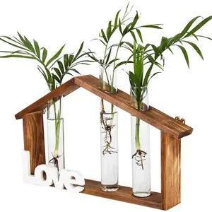 Vintage Holz ständer Wand-Lufterrarium mit 3 Home Office Hydro ponic Glas vasen