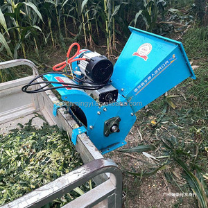 Đa Chức Năng Động Vật Thức Ăn Cỏ Máy Cắt Ngô Thân Cây Hay Chaff <span class=keywords><strong>Cutter</strong></span> Di Động Di Động Chaff <span class=keywords><strong>Cutter</strong></span> Và Hạt Crusher - Product Image 4
