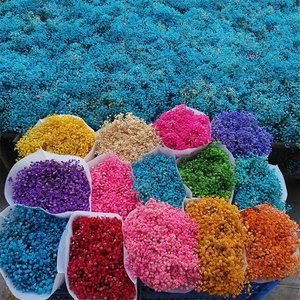 Multi Cores Flores Grinaldas Respiração Natural do Bebê Preservada Flores e Plantas para Long-Lasting Home Decor Arranjos do casamento - Product Image 1