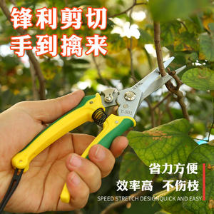 Sécateur de jardinage T-501 en acier inoxydable, cisaille bypass jaune à ressort pour la taille des arbres fruitiers - Product Image 3