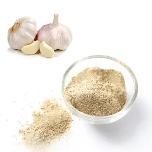 2024 import good quality and cheap price Chinese Vegetable Dehydrated Garlic Powder