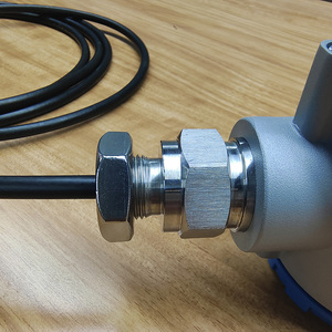 Capteur de niveau d'eau chaude submersible en acier inoxydable, indicateur de niveau, sortie de signal 4-20mA, sans fil, pour une mesure de niveau à prix abordable - Product Image 3