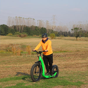 ส่งฟรีในสหรัฐอเมริกา สกู๊ตเตอร์แบบยืนขับ 2 ล้อ ยางใหญ่ ผลิตในจีน รุ่น S78 Kickbike S78 - Product Image 4
