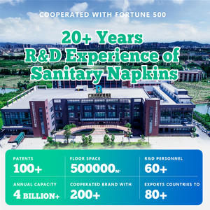 Самые продаваемые тампоны-трусики Clean Point для женского здоровья с травами, супервпитывающие, из Гуандуна - Product Image 2