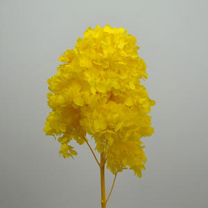 Fleur de décoration de mariage en gros, fleur naturelle stabilisée, hydrangea pagode avec tige, hydrangea préservé - Product Image 2