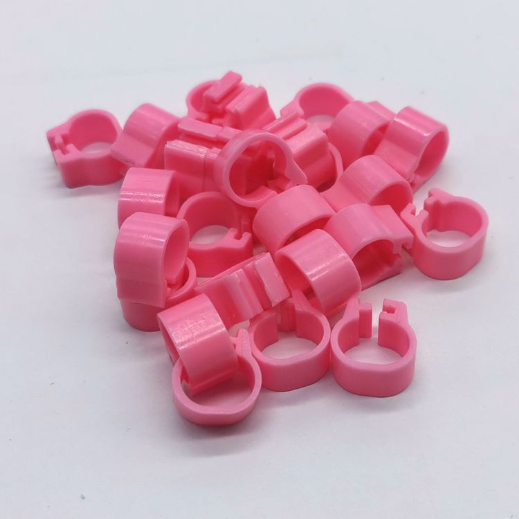 clip ring foot birds 3