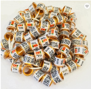 2020 Postduif Loft - Product Image 6