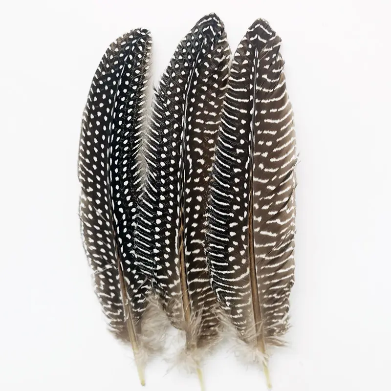 Wholesale Cheap Price Natural Rooster 15-22 Cm Pearl Chicken Nest Feather For Sale