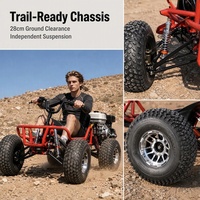 Nouveau design, pédale, pneu large de 10 pouces, karting tout-terrain, personnalisable, 212cc, essence, 4 temps, transmission par chaîne, karting adulte, buggy cross