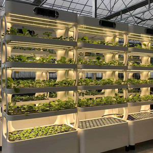 Nouveau système de culture hydroponique vertical avec éclairage LED, ferme intelligente pour culture verticale de plantes d'intérieur - Product Image 6