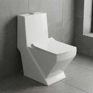 Inodoro de Cerámica de Una Pieza con Asiento y Lavabo a Juego para Baños Africanos - Product Image 5