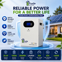 Système d'alimentation de secours solaire hors réseau pour la maison, batterie au lithium fer phosphate 25,6 V 100 Ah à montage mural, stockage d'énergie LiFePO4 2560 Wh