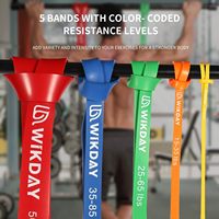 Latex Home Gym Crossfit Training Workout Exercice Fitness Pull up Resistance Band Set avec Door Anchor
