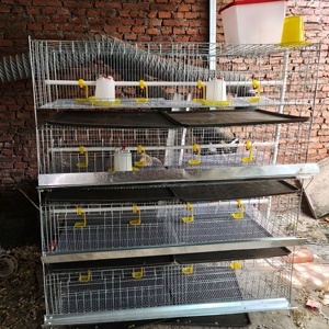 Cage d'élevage de type H à installation facile, gain de place, 1 ensemble, <span class=keywords><strong>prix</strong></span> bas pour petite ferme avicole – Vente directe usine - Product Image 3