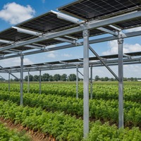 Système de montage solaire agrivoltaïque sur champ de légumes, structure de support photovoltaïque au sol pour ferme commerciale