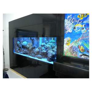 Orient Building Décoré Acrylique Fish Tank Polygone Nouvelle Promotion Acrylique Sphère Fish Tanks Feuille Acrylique Pour Fish Tank - Product Image 5