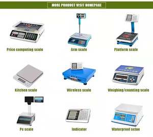 Neues Modell Insekten schutz Elektronische Waage Digitale Preis waage - Product Image 4