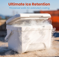 Glacière portable PP Insulin Accept Set 6L 13L 22L avec poignée et couvercle, isotherme pour camping, pique-nique, plage, pêche, boissons
