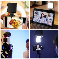 Lampe de poche Ulanzi AY-49S monochrome à température de couleur réglable, support de téléphone, éclairage LED sans fil 800LM Type-C ABS