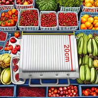 Trancheuse de légumes en acier inoxydable Coupe-aliments pour le sang Konjak Tofu Machine à trancher les nouilles froides