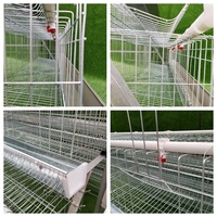 Cage à poulets de type 3/4 niveaux pour poulets pondeuses, volailles, fermes avicoles, élevage automatique, vente chaude, faible coût