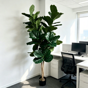 Fiori Decorativi, Ghirlande e Piante Artificiali, <span class=keywords><strong>Albero</strong></span> di <span class=keywords><strong>Ficus</strong></span> Lyrata Artificiale Sempreverde per Decorazioni di Eventi, Matrimoni e Feste - Product Image 3