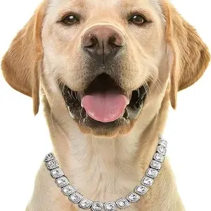 대형 개 목걸이 칼라 다이아몬드 장식 체인을위한 실버 골드 체인 클러스터 다이아몬드