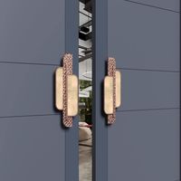Poignée de porte d'entrée moderne de luxe léger en alliage d'aluminium avec incrustation décorative et design 3D pour portes en verre et en bois