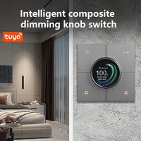 Interrupteur intelligent mural dissimulé Anjielo X3 en ABS+PC, 3 gangs, application Smart Life pour variateur, 250V 15A