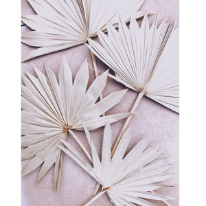Petite décoration en feuilles <span class=keywords><strong>de</strong></span> palmier séchées blanches, éventail à <span class=keywords><strong>main</strong></span> en feuilles <span class=keywords><strong>de</strong></span> palmier - Product Image 3