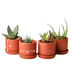 Handcrafted Sage Terracotta Planters <b>Set</b> of 4 for Indoor Outdoor Balcony Terrace Garden Home Décor Rustic <b>Clay</b> Flower Pots - Product Image 2