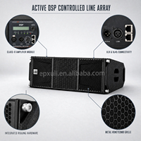 RM212A Profesyonel 2 Yollu Aktif Line Array Hoparlör Kabini, Sınıf D Amplifikatör ve DSP Modları ile Sahne, Gösteri, PA Sistemi, Açık Hava Konserleri için