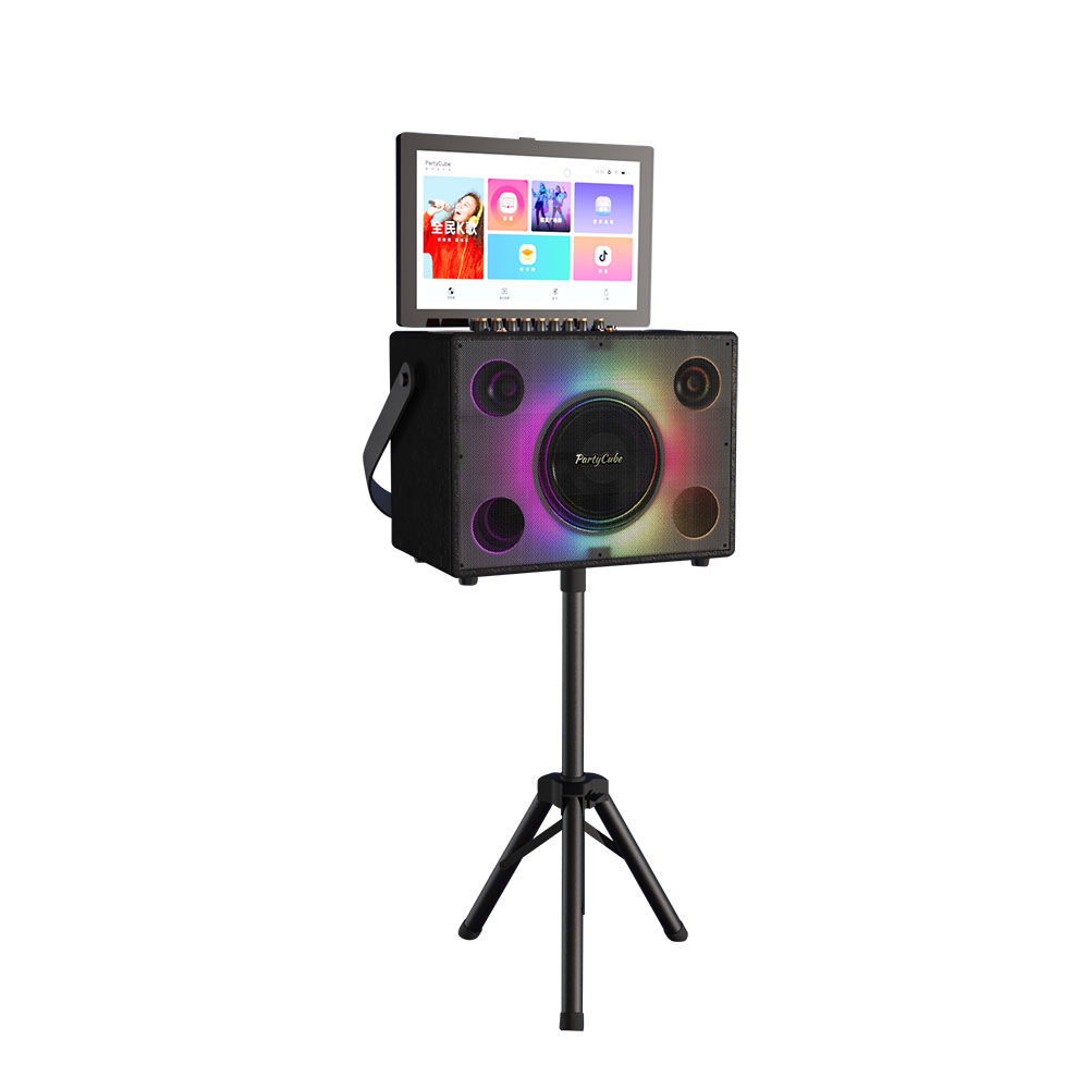 Riotouch Portable Karaoke Set System Professional Karaoke System with 14 inch LED Screen Home Sound System Karaoke Entertainment