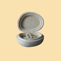 100% naturel maison compostable Marine dégradable mycélium champignons champignon bijoux cadeau montre accessoire insérer emballage boîte étui