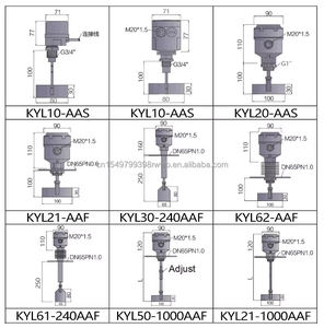 Hoge Kwaliteit Tegen Lage Prijs Fabrikant Produceren Horizontale Geïnstalleerde Roterende Peddelniveauschakelaar 220vac Niveaumeter - Product Image 4