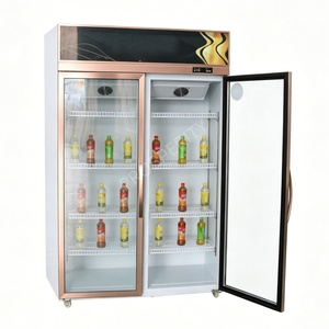 Vitrine réfrigérée à double porte vitrée, refroidie par air, pour boissons, réfrigérateur vertical pour supermarché, idéal pour l'affichage de jus, de lait et de toutes les boissons - Product Image 5