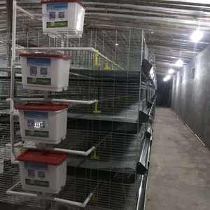 Jaula de pollo pequeña para bebé, gallinas de cría, tipo H, galvanizada, caliente - Product Image 6