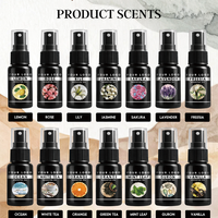 Nouveau Spray Désodorisant Automobile 15ml Parfum Floral Boisé Kit Diffuseur d'Intérieur pour Véhicule Désodorisant Voiture avec Clip de Ventilation