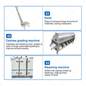 เครื่องผลิตเม็ดมะม่วงหิมพานต์อัตโนมัติแบบเต็มรูปแบบสายการผลิตโอเชี่ยนจีน - Product Image 2