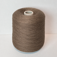Filament de viscose polyester teint sur mesure 1/28 Nm avec torsion en Z, doux et lisse pour t-shirts d'été, gilets, tricots et soie glacée