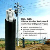 Câble aérien isolé JKLYJ 1kV, monoconducteur en aluminium, isolation XLPE, câble d'alimentation aérien pour la rénovation des réseaux ruraux