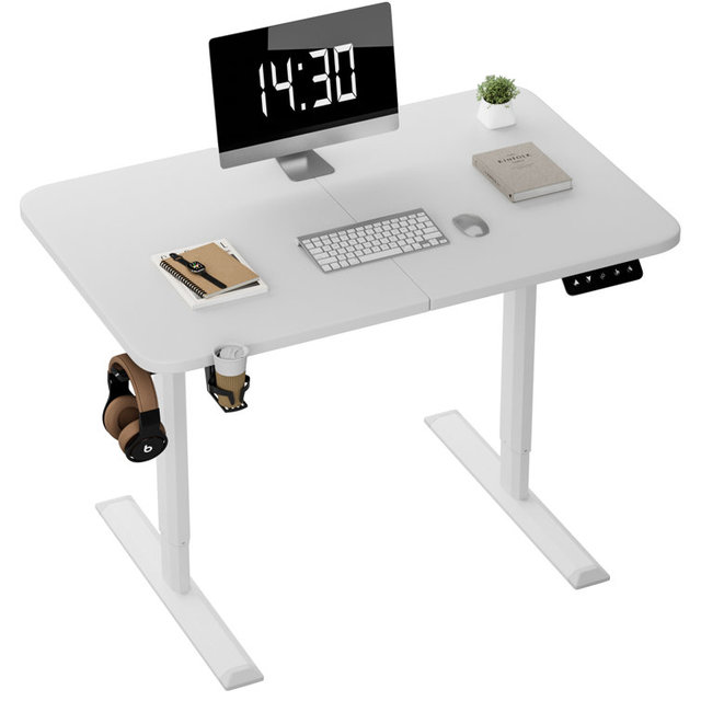 Metal Frame Dual Motor 3 Stage Height Adjustable Desks Study Table Electric Office Desk