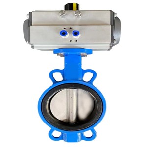 C Way Best Quality Cast <b>Iron</b> SG <b>Iron</b> Disc Industrial Use 1 Year Warranty for Water Supply - Product Image 1