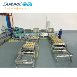 Linea di scarico di carico del sacchetto di sterilizzazione della storta completamente automatica per i pasti pronti - Product Image 6