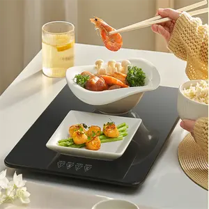 Table Top Glass Panel Baby Food Warming Tray /Food Warming Plate Electric Heating Plate