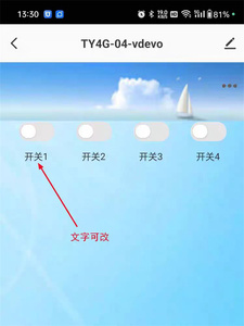Interruptor Inalámbrico Tuya <span class=keywords><strong>de</strong></span> 4 Canales, CC 7-27V, Internet <span class=keywords><strong>de</strong></span> <span class=keywords><strong>las</strong></span> <span class=keywords><strong>Cosas</strong></span>, Módulo <span class=keywords><strong>de</strong></span> Relé <span class=keywords><strong>de</strong></span> Control Remoto 4G, Temporizador, Retardo, Automatización del Hogar Inteligente - Product Image 5