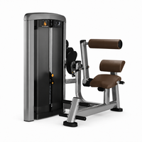 Machine de musculation pour l'extension dorsale, équipement de salle de sport commercial pour l'entraînement des muscles du dos